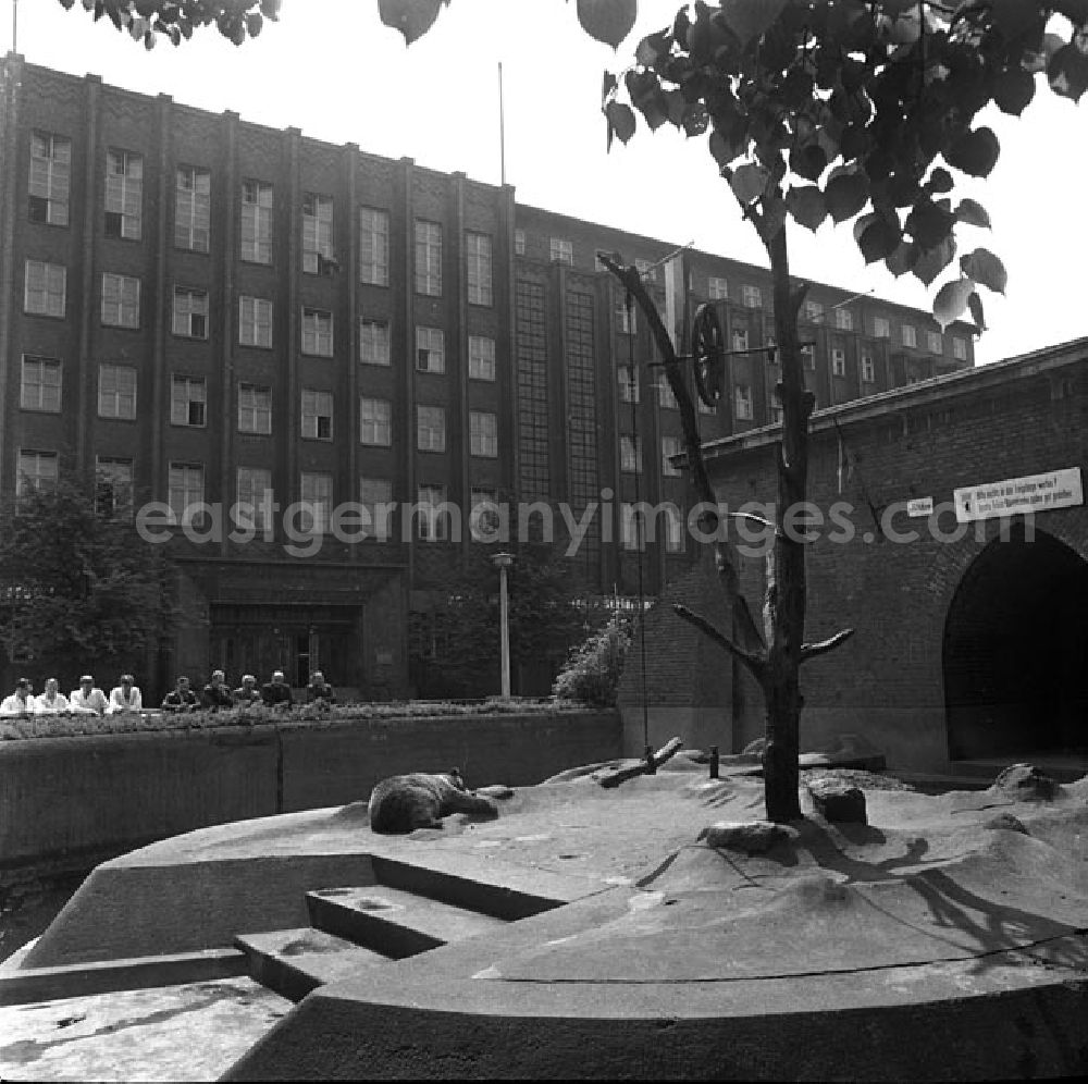 GDR picture archive: Berlin - 14.