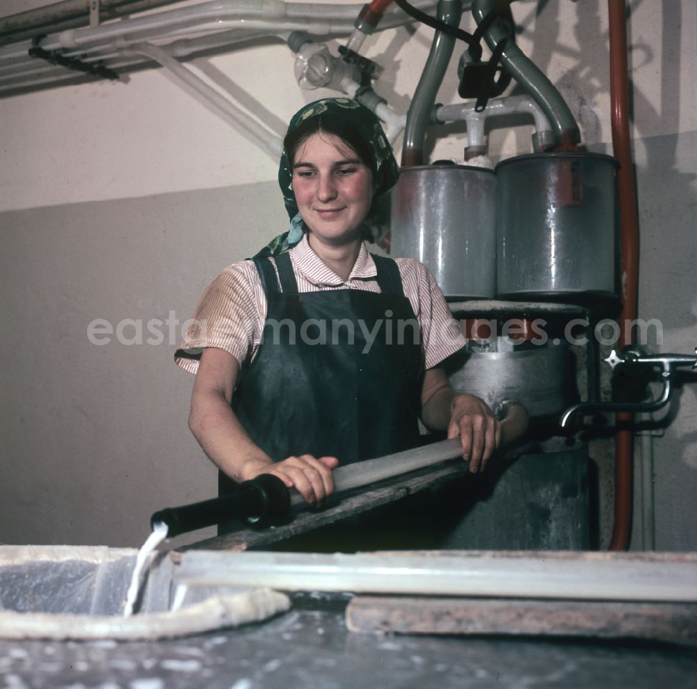 GDR picture archive: Mühlenbecker Land - A young woman at a machine for milk production in a farm of an agricultural production cooperative on Dorfstrasse in the district of Schoenfliess in Muehlenbecker Land, Brandenburg in the territory of the former GDR, German Democratic Republic