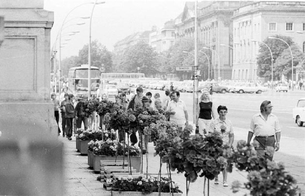 GDR image archive: Berlin - 13.