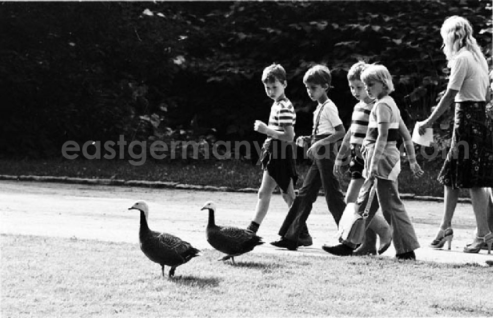 GDR image archive: Berlin - 14.