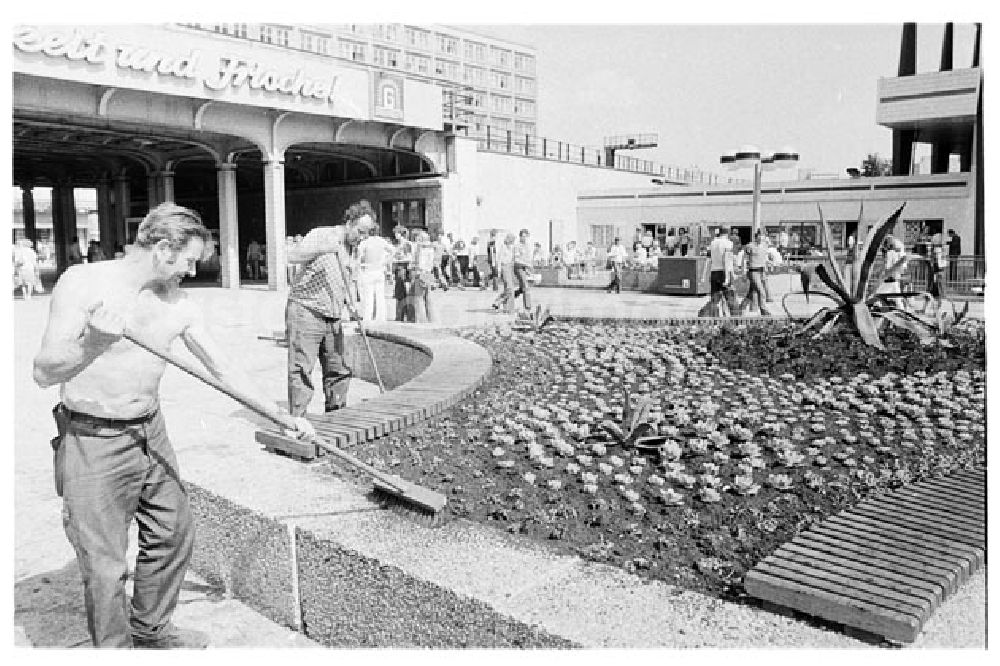 GDR picture archive: Berlin - 22.