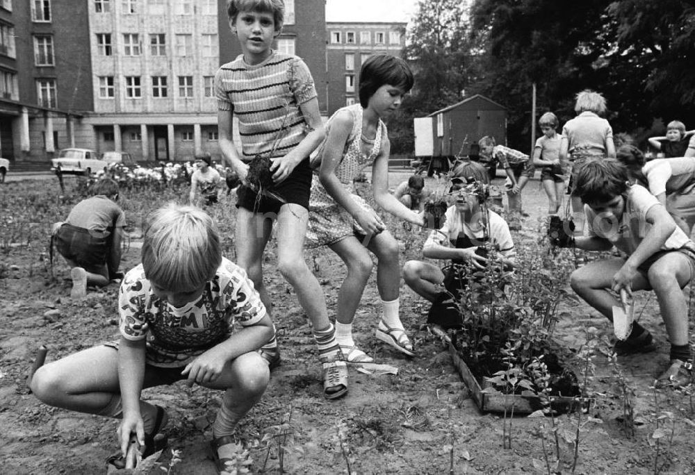 Berlin - Friedrichshain: Kinder bepflanzen Rabatten an der Weberwiese.