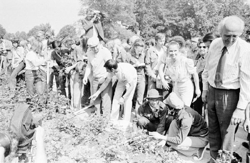 GDR photo archive: Berlin - Treptow - 30.07.1973 Berlin - Rosenpflanzen im Treptower Park 1