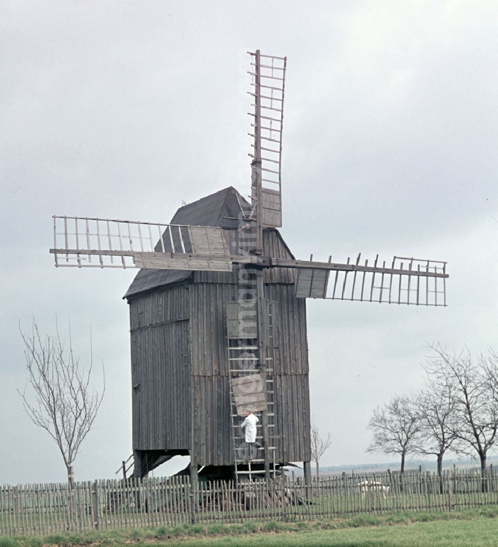 GDR photo archive: Beelitz - Historic wooden post mill on Trebbiner Strasse in Beelitz, Brandenburg in the area of the former GDR, German Democratic Republic