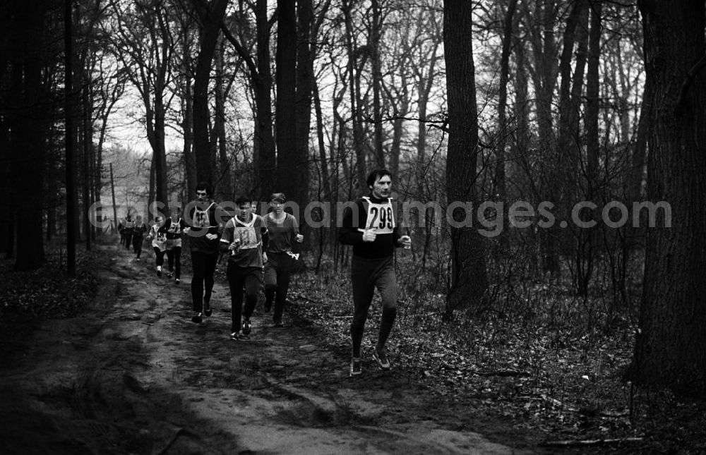 Berlin: Freizeitsportler / Sportler während einem Crosslauf / Ausdauerlauf in einem Park in Aktion.