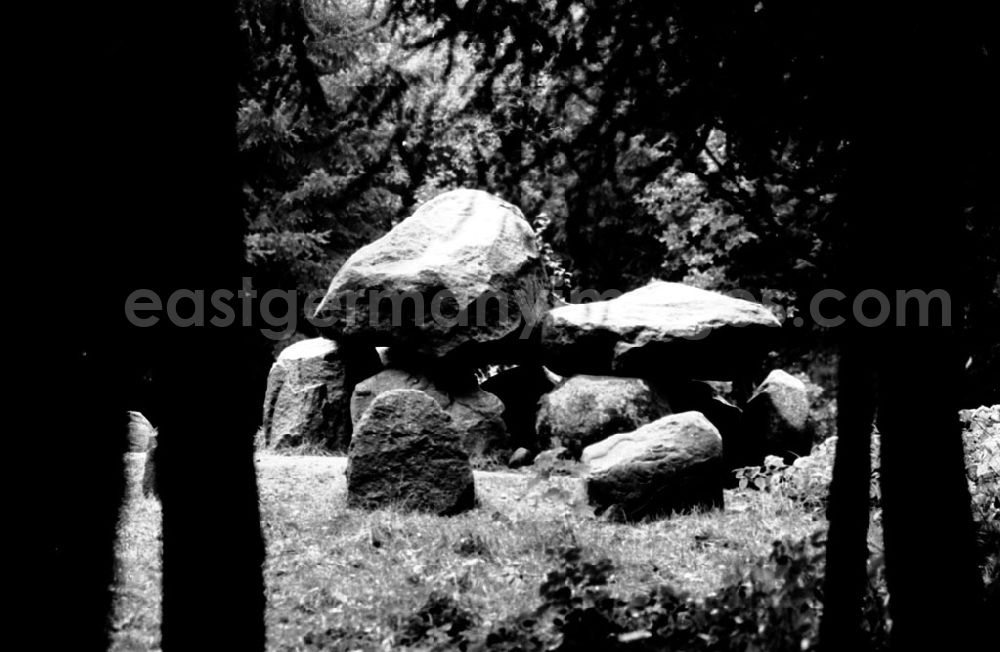 GDR picture archive: - Eversdorf - Mecklenburg-Vorpommern Geschützte Bodendenkmale im Eversdorfer Forst Krs. Grevesmühlen 07.11.9