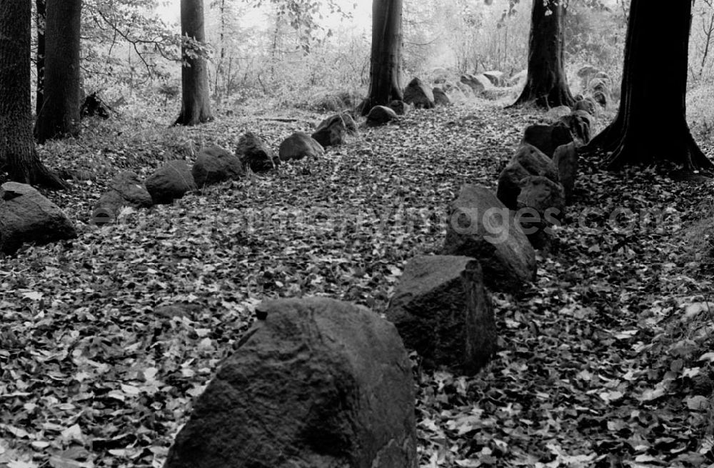 : Eversdorf - Mecklenburg-Vorpommern Geschützte Bodendenkmale im Eversdorfer Forst Krs. Grevesmühlen 07.11.9