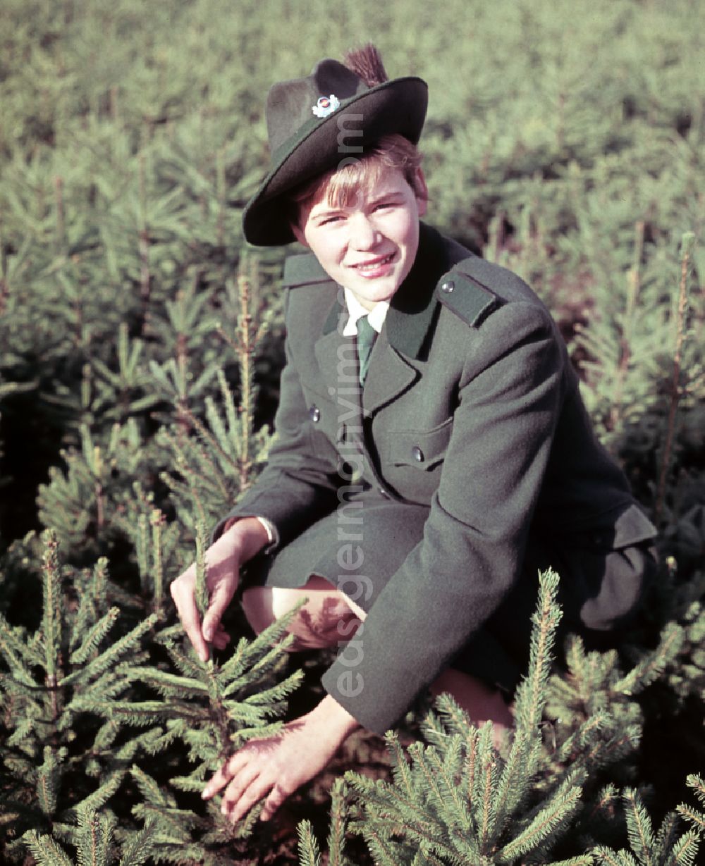 Berlin: Forester in a tree nursery in Berlin East Berlin in the territory of the former GDR, German Democratic Republic