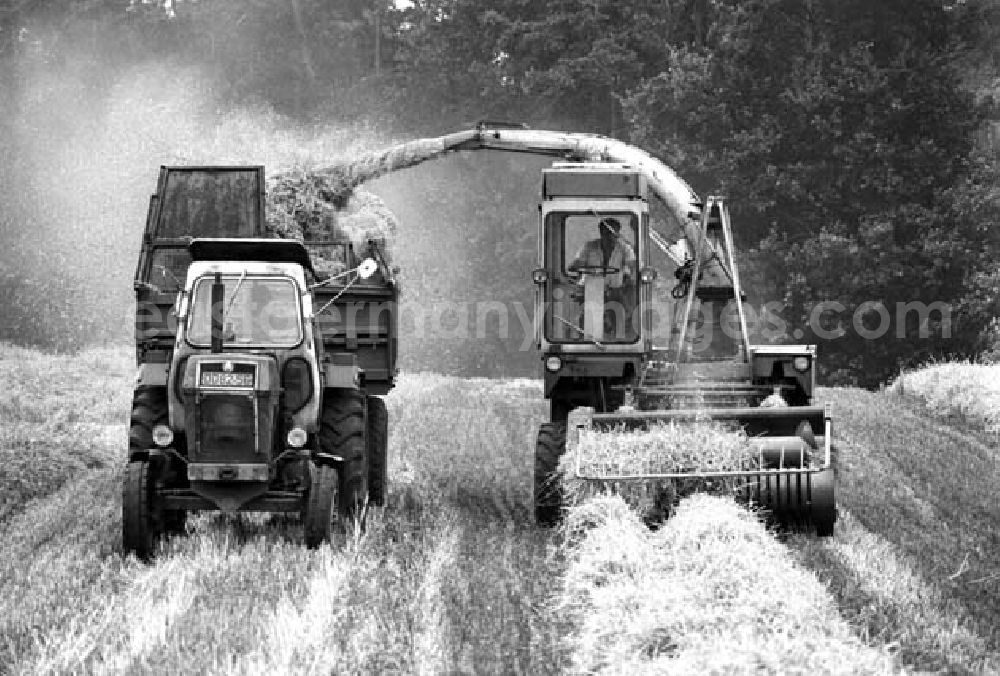 GDR picture archive: Berlin - 10.