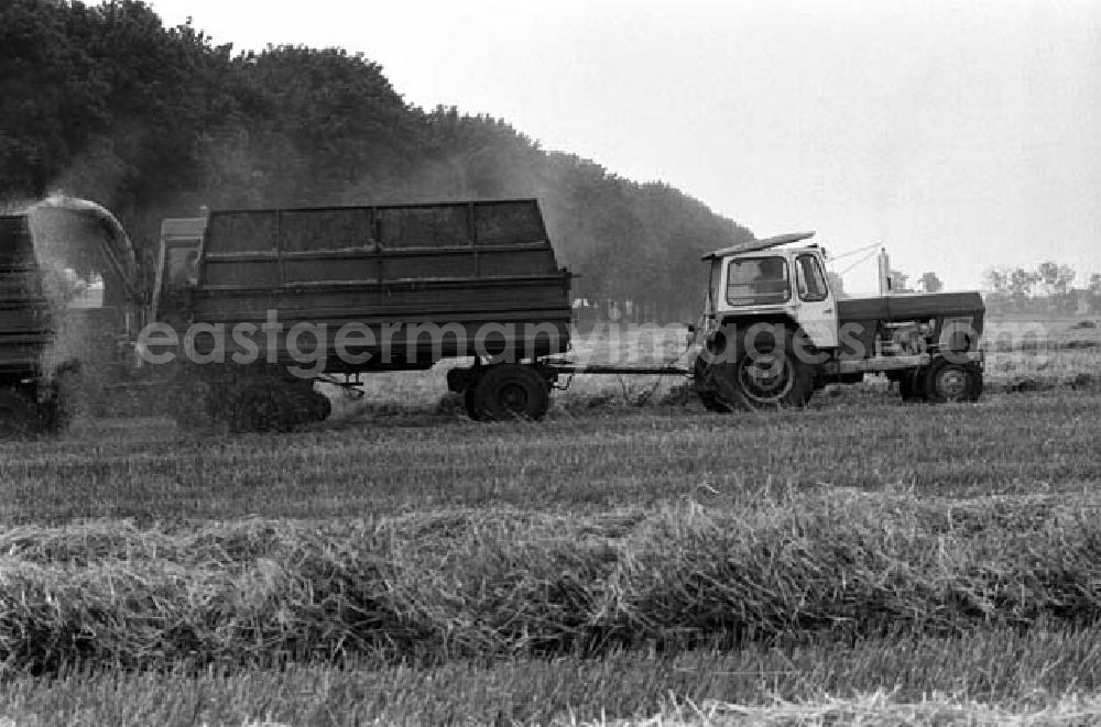 GDR photo archive: Berlin - 10.