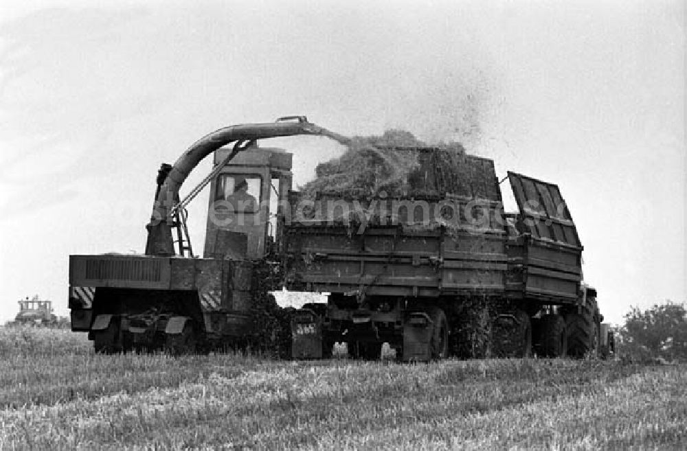 GDR picture archive: Berlin - 10.