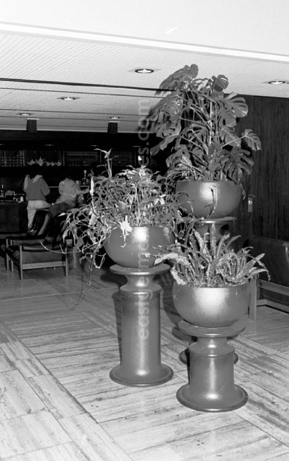 GDR image archive: Berlin - 15.12.1986 Haus der Sowjetischen- und der Kulturwissenschaften.