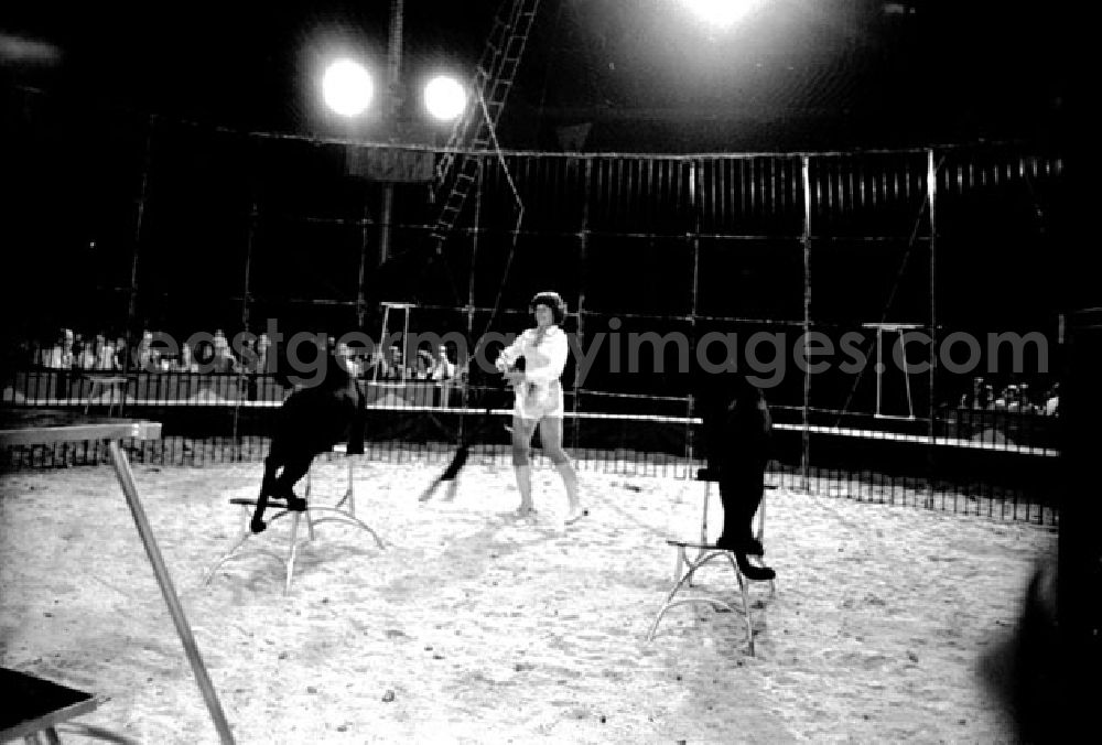 GDR photo archive: Berlin - Juli 1973 Zirkus Aeros in Berlin.