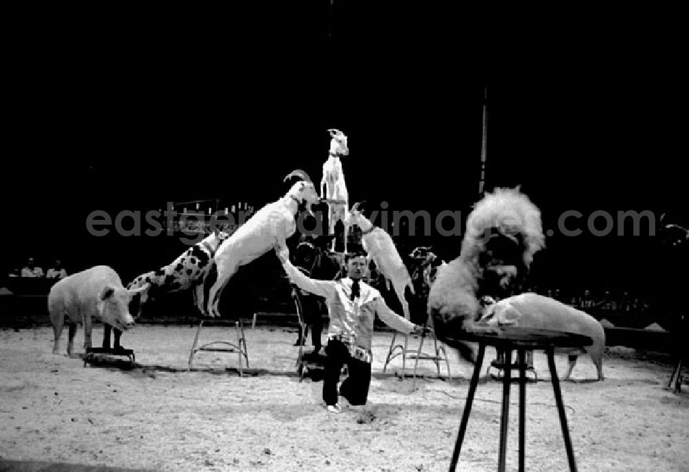 Berlin: Juli 1973 Zirkus Aeros in Berlin.