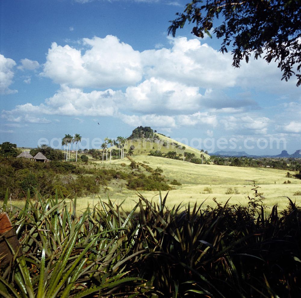 GDR image archive: Gibara - Landschaft in der Nähe von Gibara in Kuba.