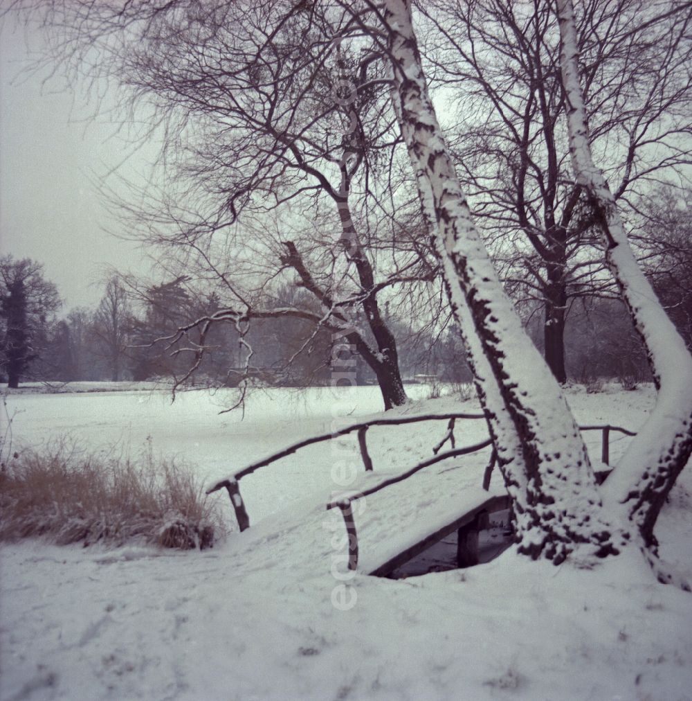 GDR image archive: Oranienbaum-Wörlitz - Natural idyll of the landscapewith snow-covered bridge on street Woerlitzer Park in Oranienbaum-Woerlitz, Saxony-Anhalt on the territory of the former GDR, German Democratic Republic