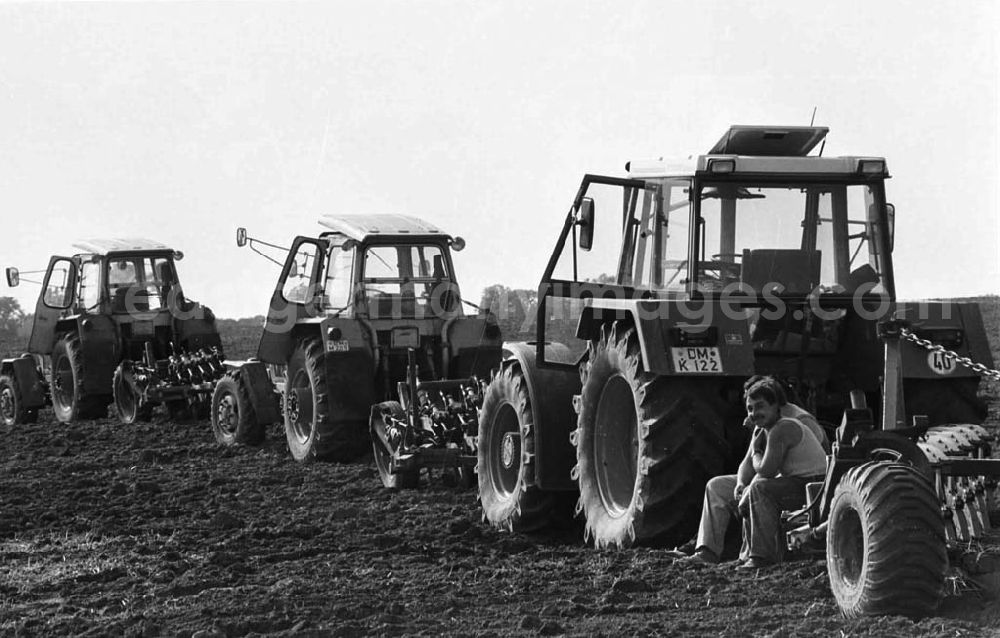 GDR image archive: Demmin - Landwirtschaftsreportagen im Kreis Demmin 5.8. 92 Lange Umschlag 109