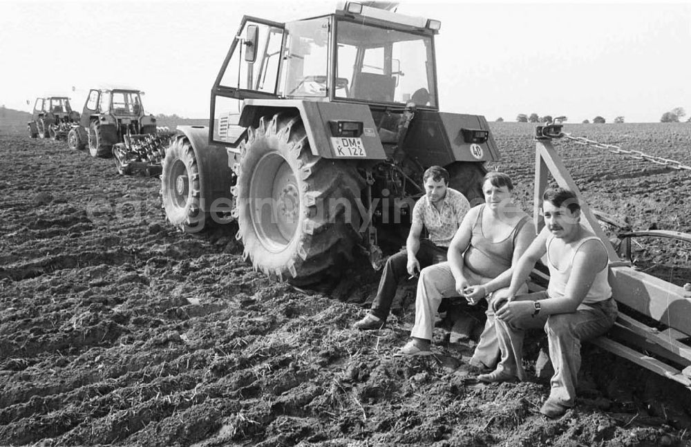 GDR photo archive: Demmin - Landwirtschaftsreportagen im Kreis Demmin 5.8. 92 Lange Umschlag 109