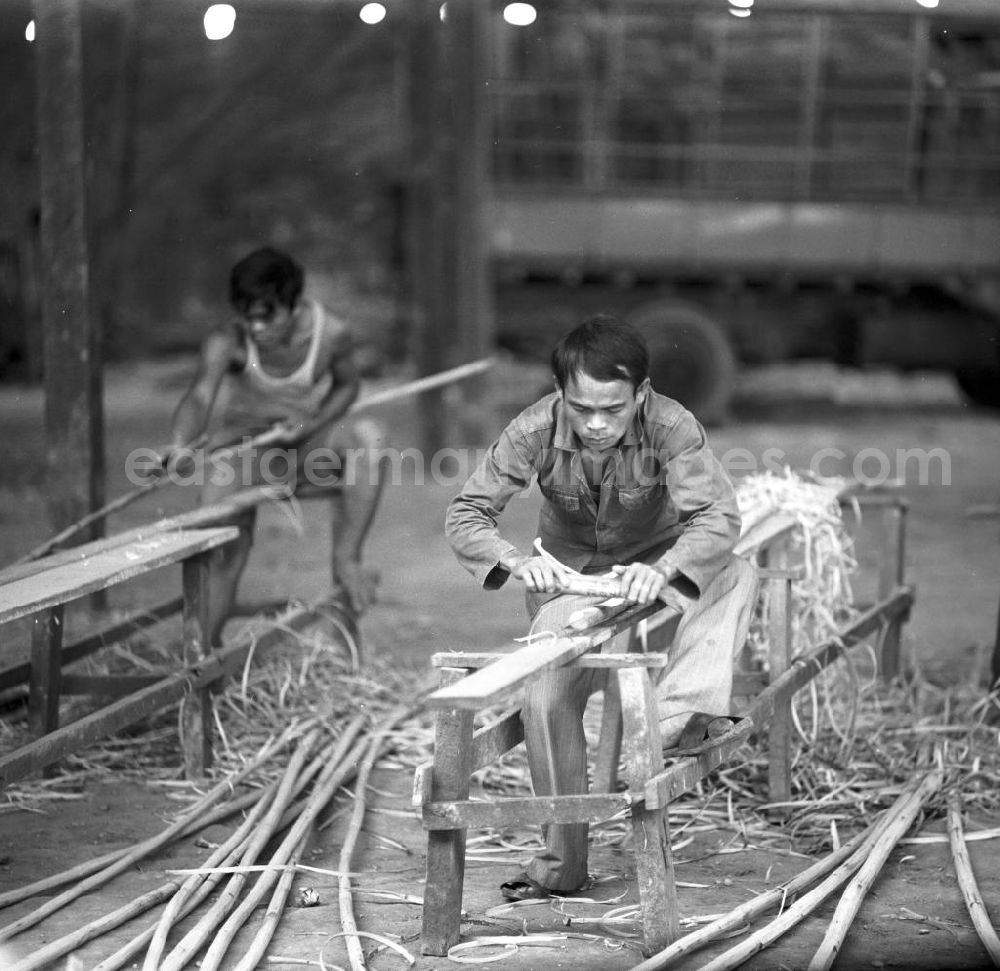 GDR image archive: Vientiane - Arbeiter in einer Bambusmöbelfabrik in Vientiane in der Demokratischen Volksrepublik Laos.