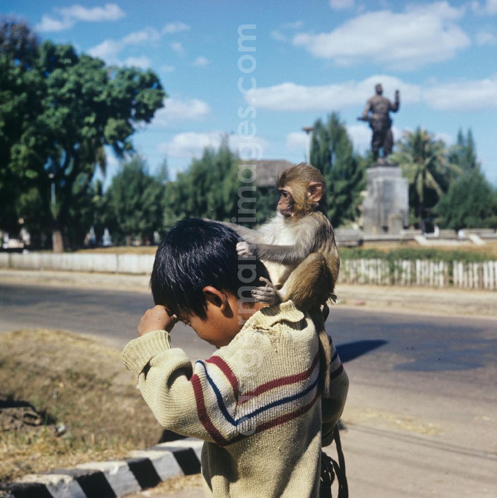 GDR picture archive: Vientiane - Ein Affe sitzt auf der Schulter eines Jungen und laust ihn auf einer Straße in Vientiane in der Demokratischen Volksrepublik Laos.