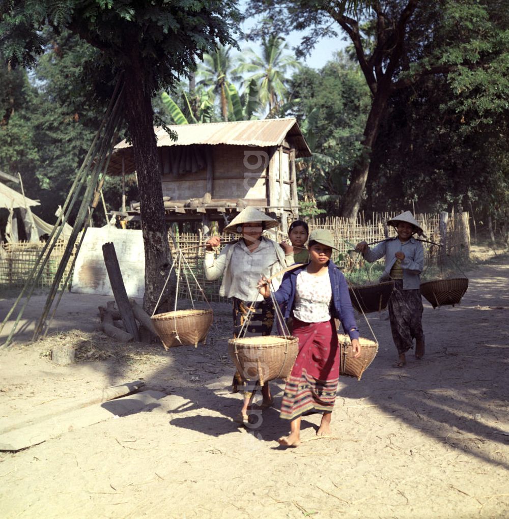 GDR photo archive: Vientiane - Frauen tragen mit geschulterten Körben den geernteten Reis zu einer Sammelstelle in einem Dorf in der Demokratischen Volksrepublik Laos.