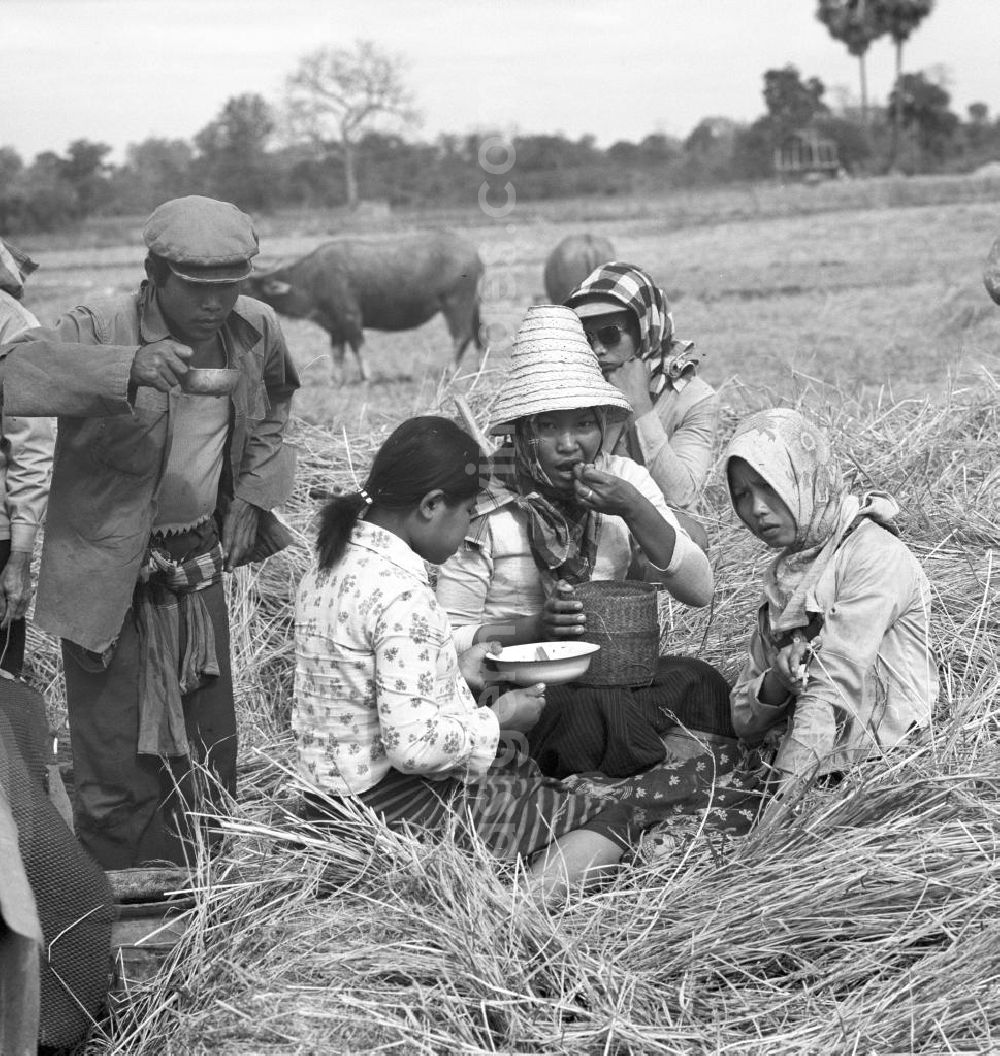 GDR image archive: Vientiane - Essenspause während der Reisernte auf einem Feld in der Demokratischen Volksrepublik Laos.