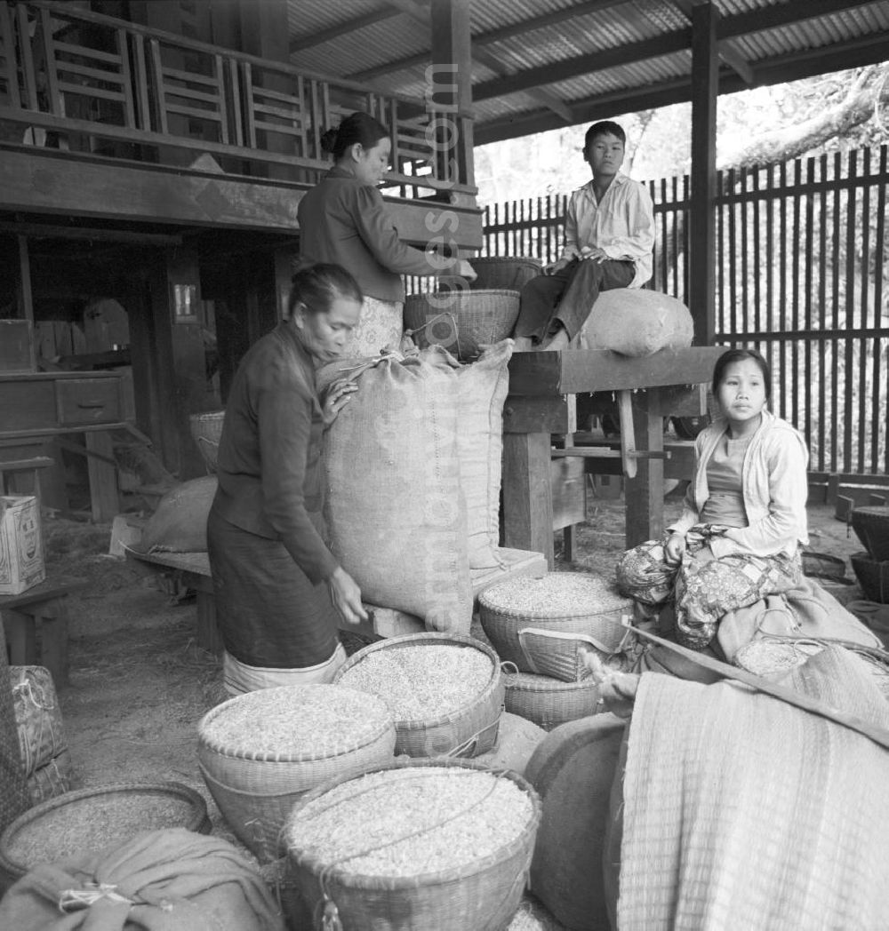 GDR image archive: Vientiane - Reismühle in einem Dorf in der Demokratischen Volksrepublik Laos.