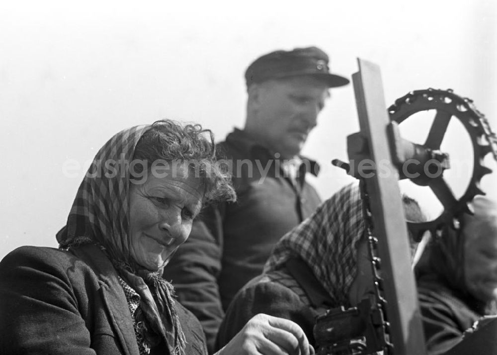 GDR image archive: Leipzig - Bäuerinnen einer Landwirtschaftlichen Produktionsgenossenschaft lernen den Umgang mit einer sowjetischen Kohlpflanzmaschine SBM-6, aufgenommen in der Nähe von Leipzig. Mit Hilfe einer solchen Maschine konnte die kräftezehrende, mehrere Tage andauernde Arbeit binnen weniger Stunden bewältigt werden.