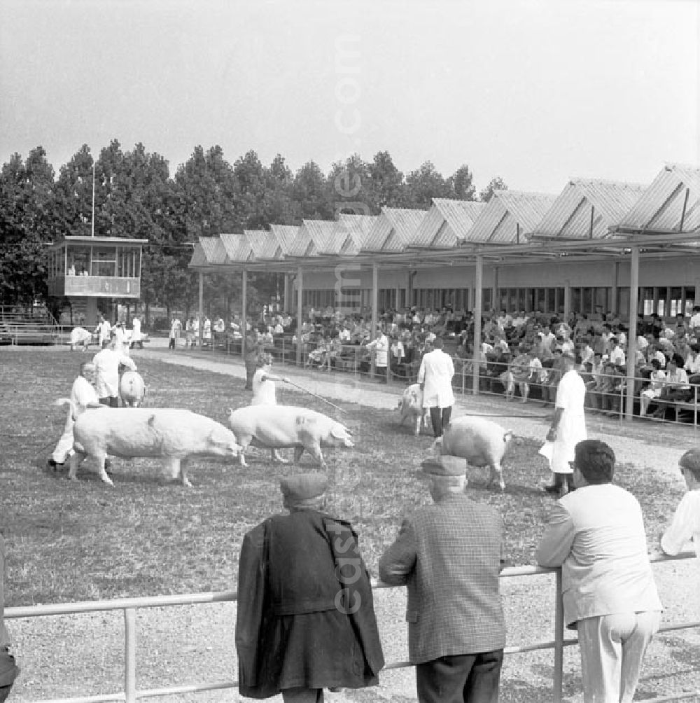 GDR photo archive: Leipzig - 15.