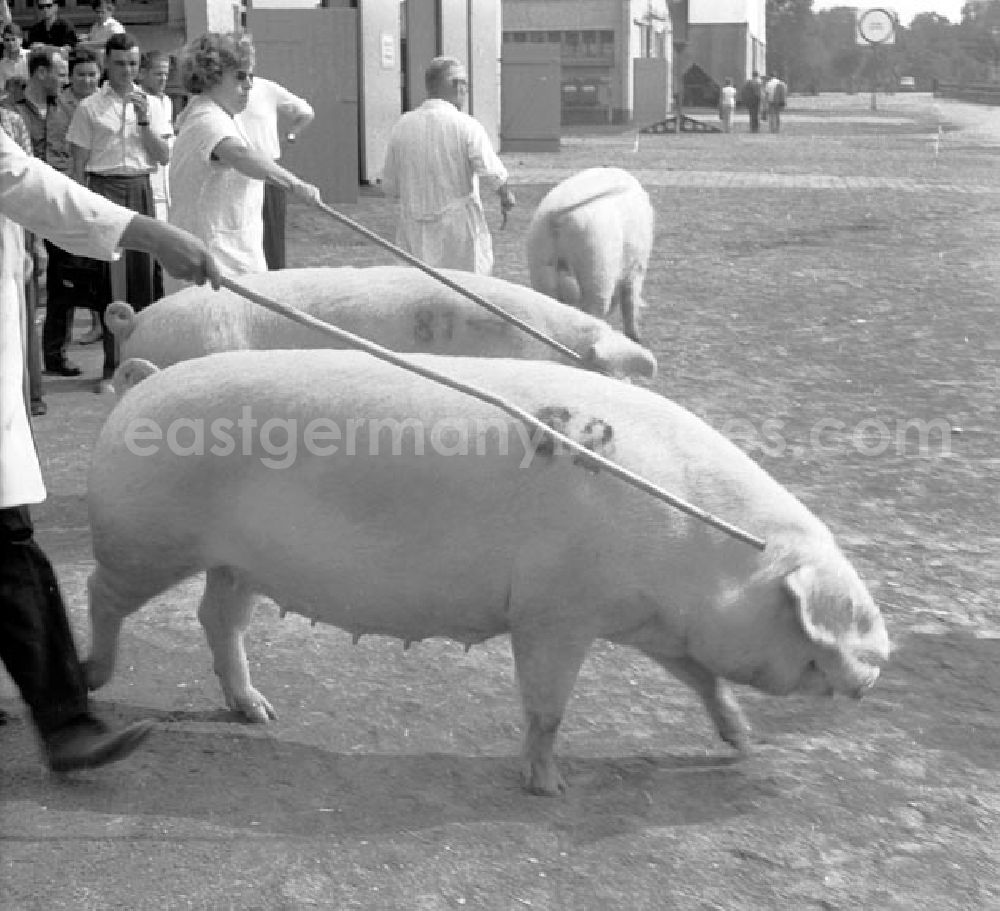 GDR picture archive: Leipzig - 15.