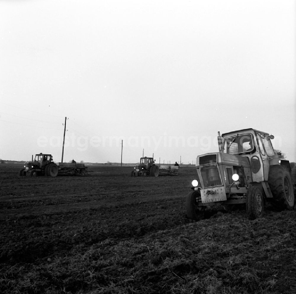 GDR photo archive: Stolzenhagen - LPG in Stolzenhagen.