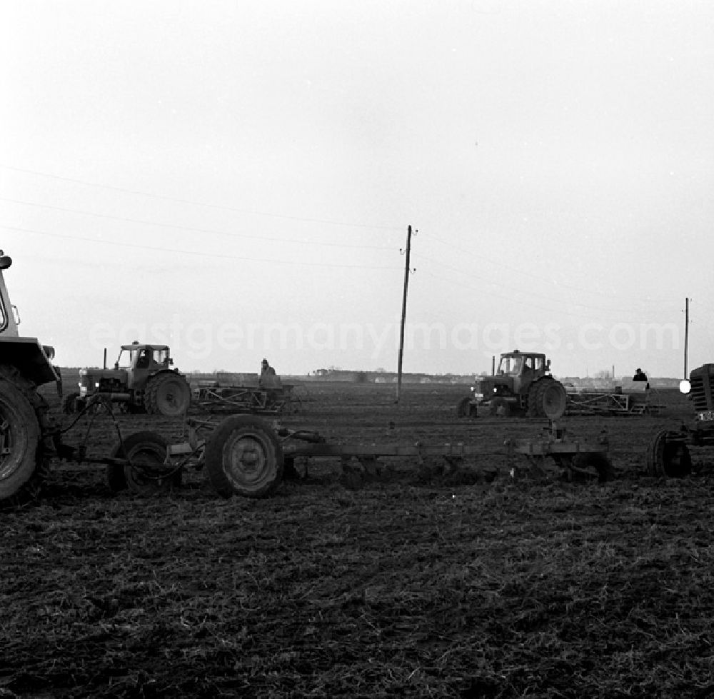 GDR photo archive: Stolzenhagen - LPG in Stolzenhagen.