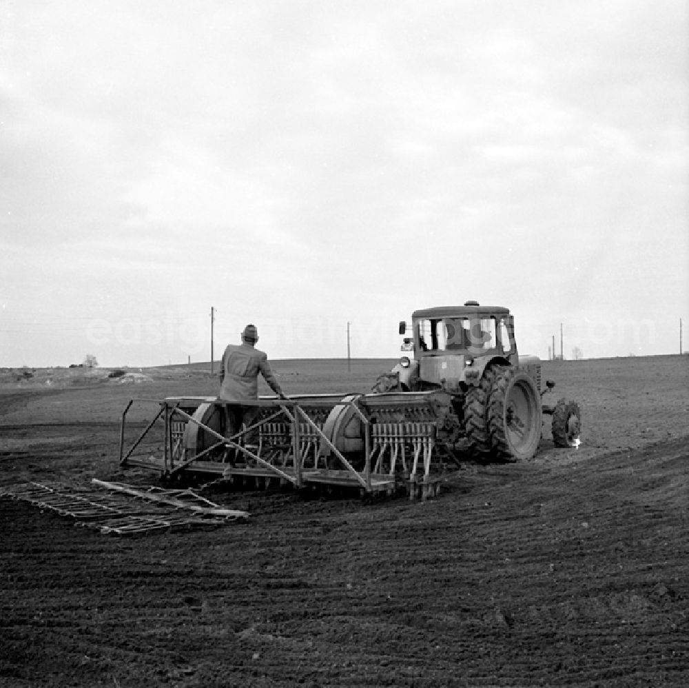 GDR picture archive: Stolzenhagen - LPG in Stolzenhagen.