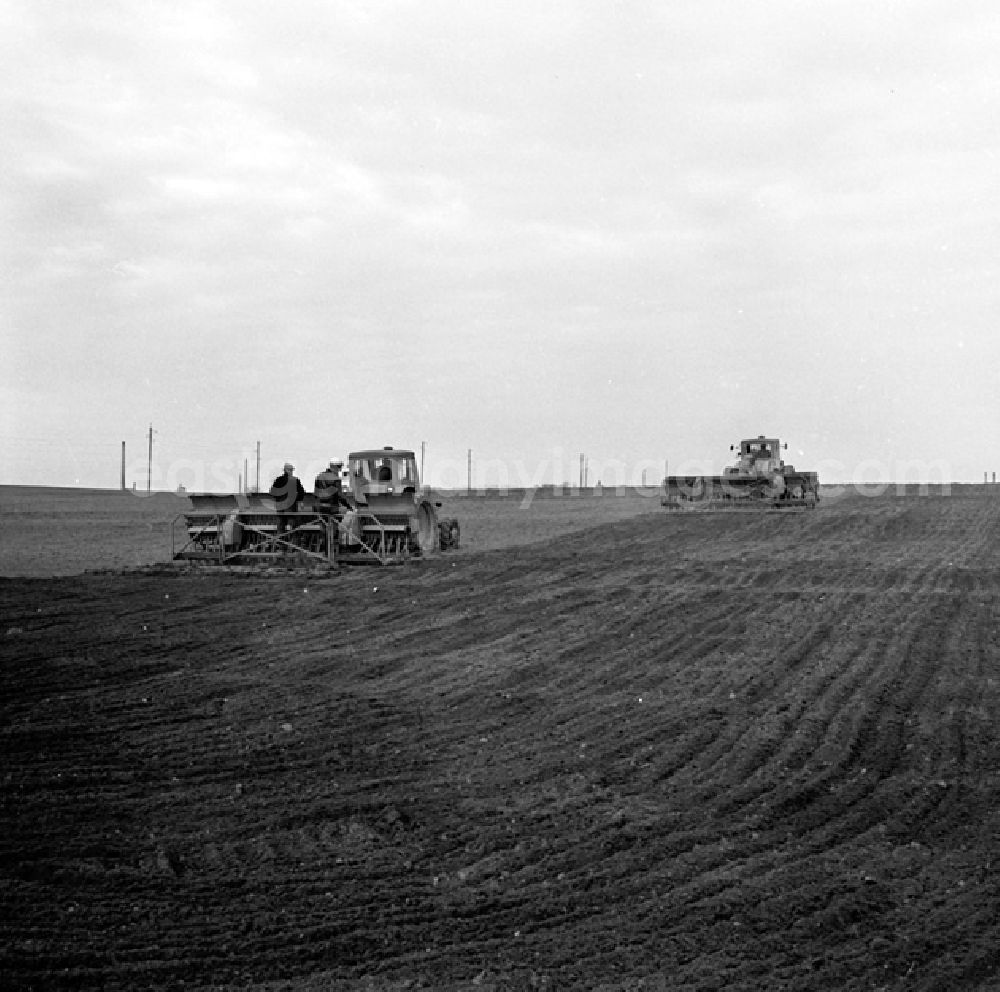 GDR image archive: Stolzenhagen - LPG in Stolzenhagen.