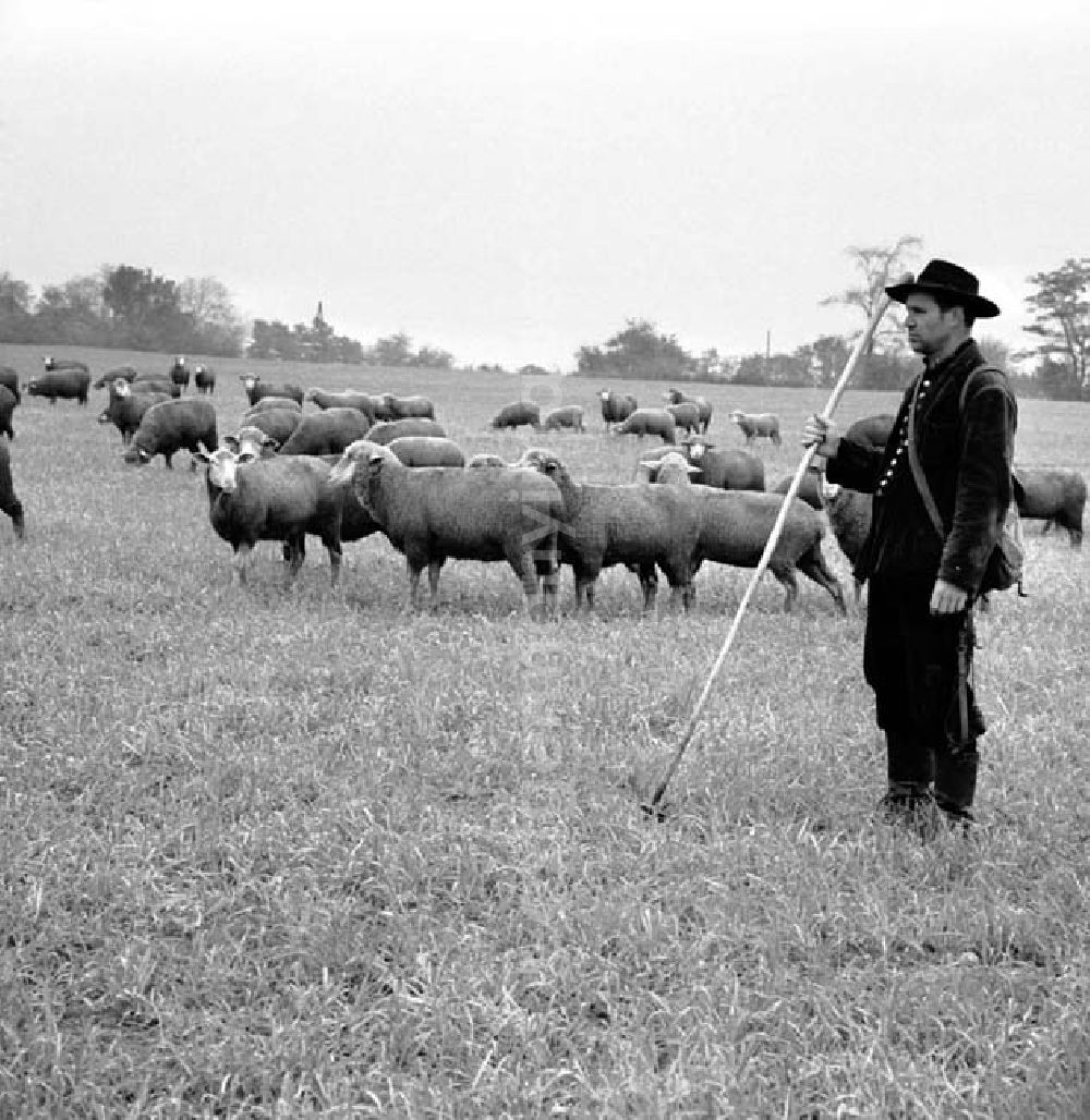 GDR image archive: Berlin - 21.1