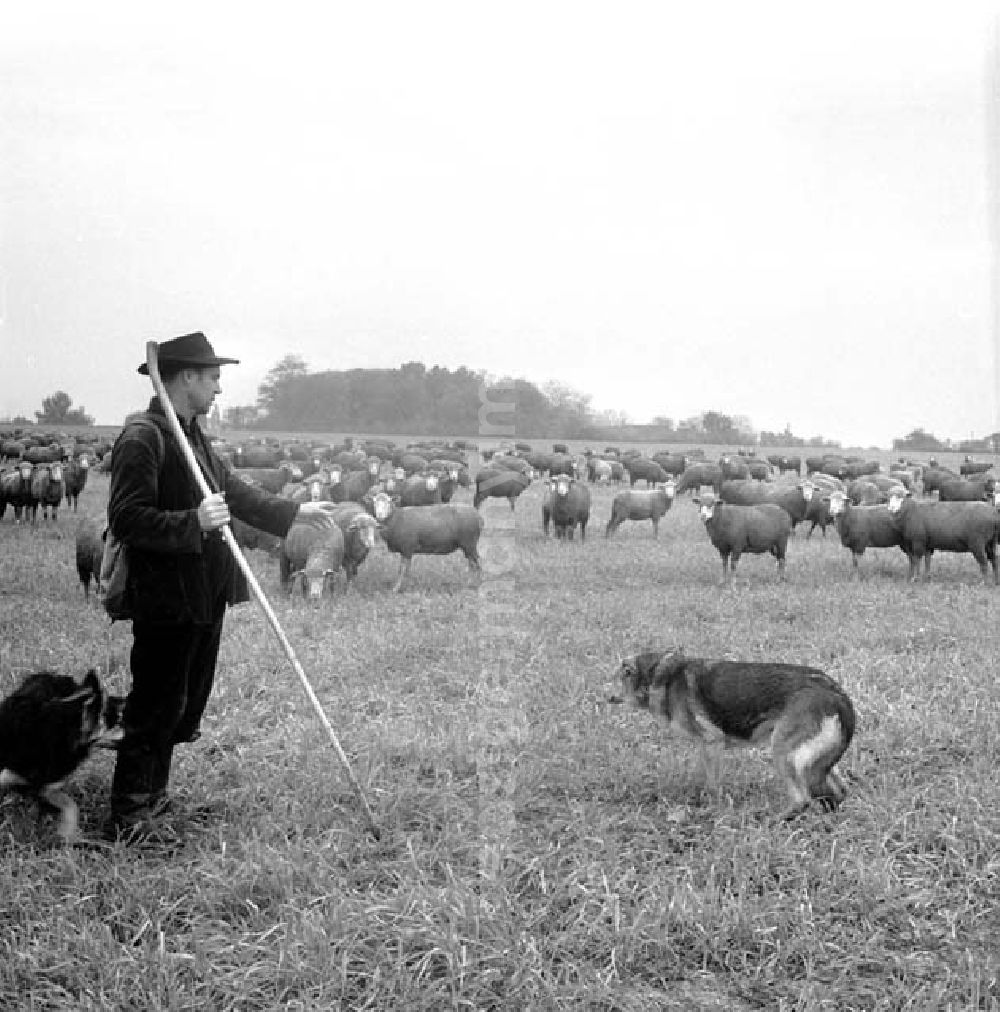 GDR photo archive: Berlin - 21.1