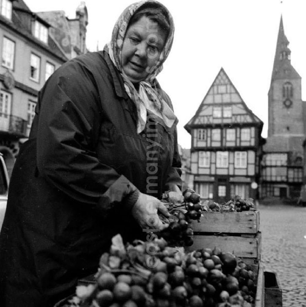 Blankenburg: Mai 1973 Leichtmetallkombinat in Blankenburg.