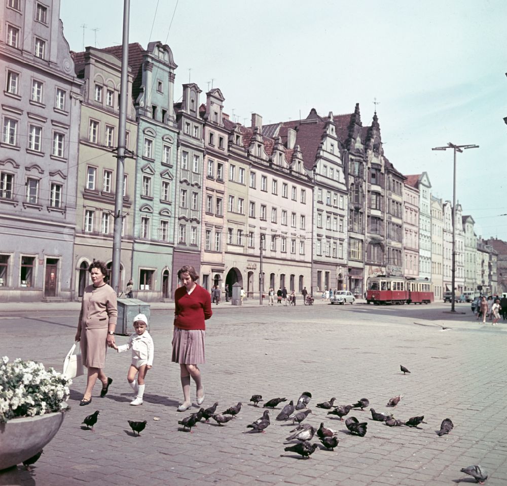 GDR image archive: Wroclaw - Breslau - Mother with child walking past street pigeons on the market square in Wroclaw - Breslau in Poland