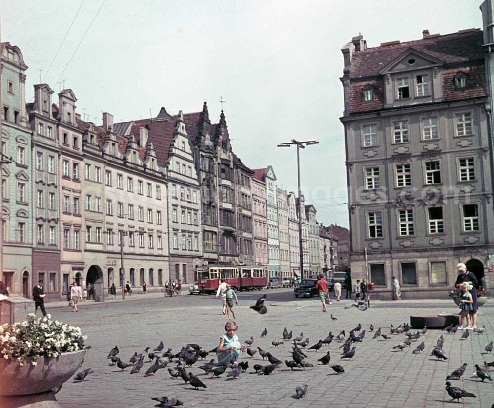 GDR photo archive: Wroclaw - Breslau - Mother with child walking past street pigeons on the market square in Wroclaw - Breslau in Poland