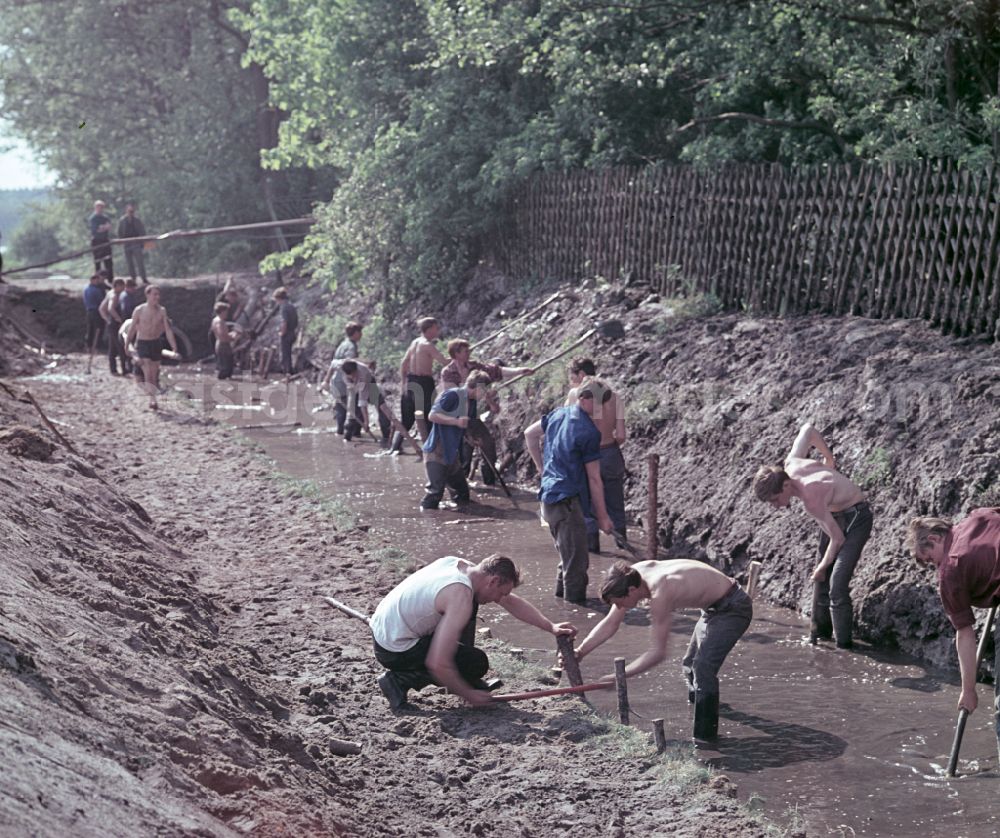 GDR photo archive: Nauen - FDJ members carrying out land reclamation work to drain agricultural land in Nauen, Brandenburg in the territory of the former GDR, German Democratic Republic