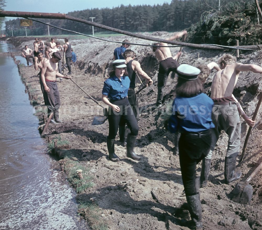 GDR picture archive: Nauen - FDJ members carrying out land reclamation work to drain agricultural land in Nauen, Brandenburg in the territory of the former GDR, German Democratic Republic