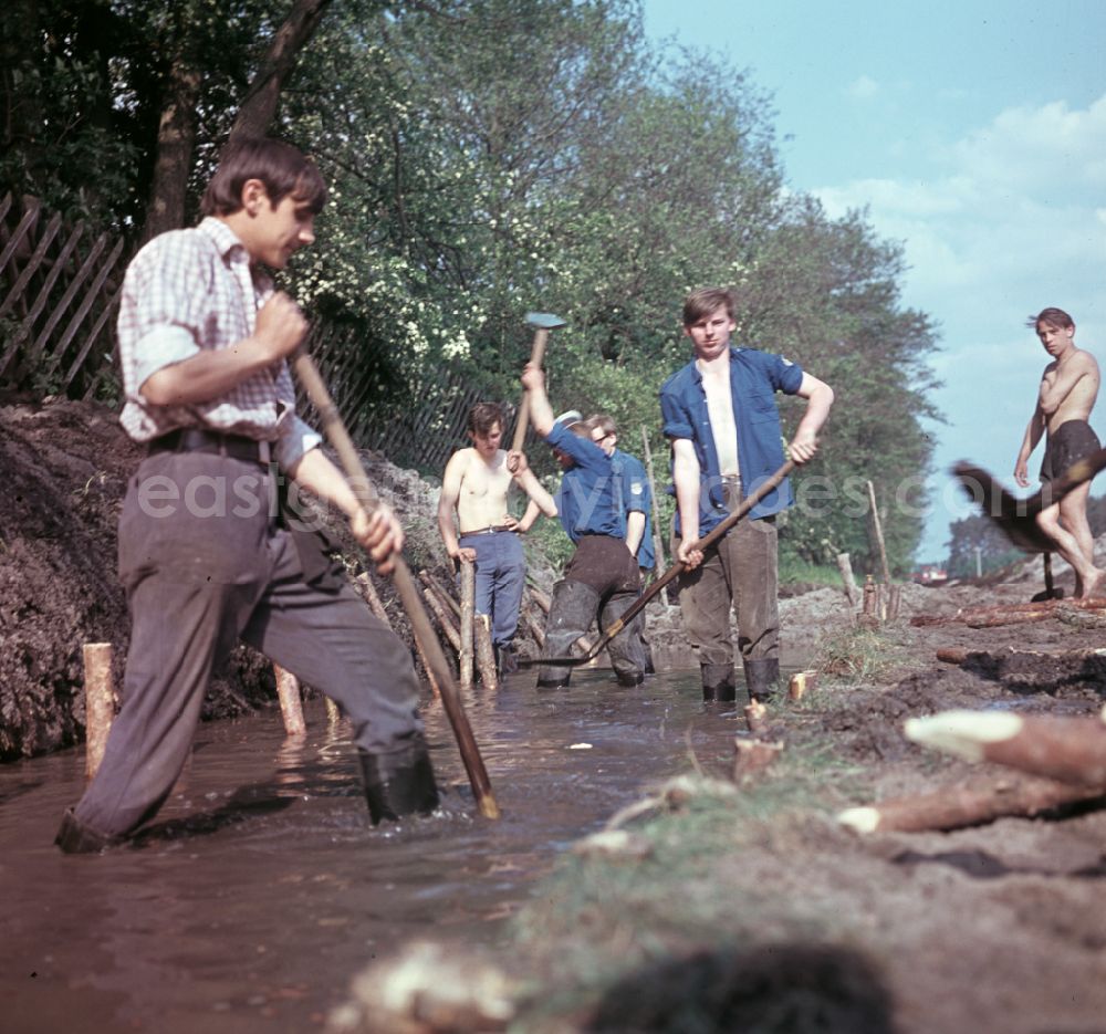 GDR picture archive: Nauen - FDJ members carrying out land reclamation work to drain agricultural land in Nauen, Brandenburg in the territory of the former GDR, German Democratic Republic