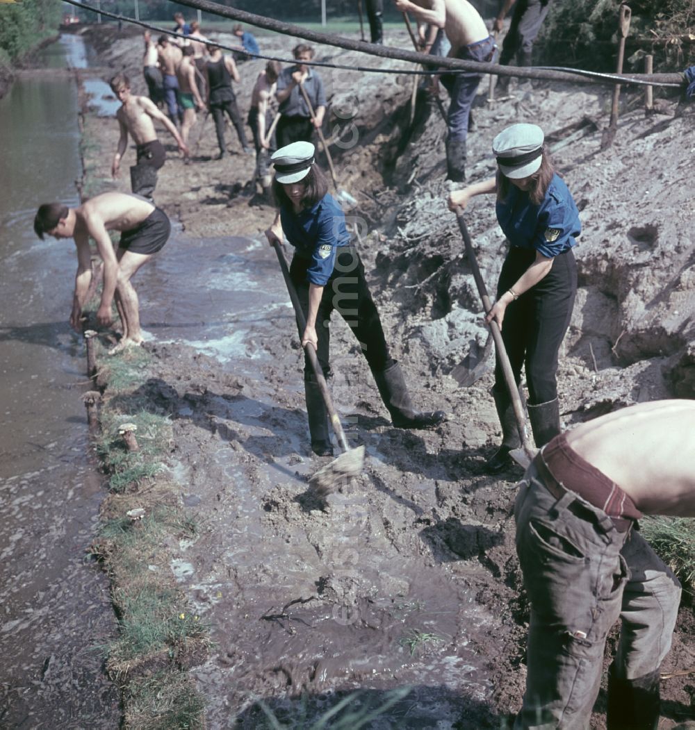 Nauen: FDJ members carrying out land reclamation work to drain agricultural land in Nauen, Brandenburg in the territory of the former GDR, German Democratic Republic