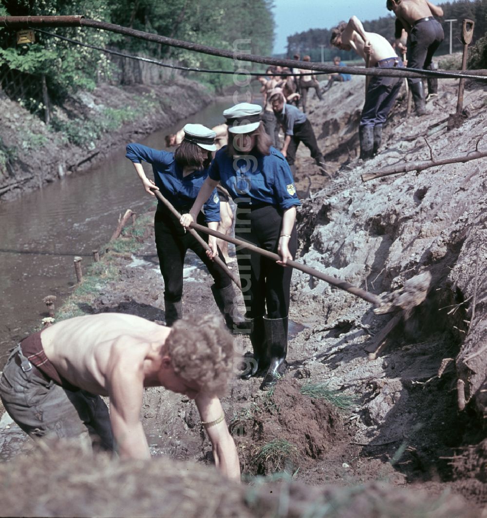 GDR image archive: Nauen - FDJ members carrying out land reclamation work to drain agricultural land in Nauen, Brandenburg in the territory of the former GDR, German Democratic Republic