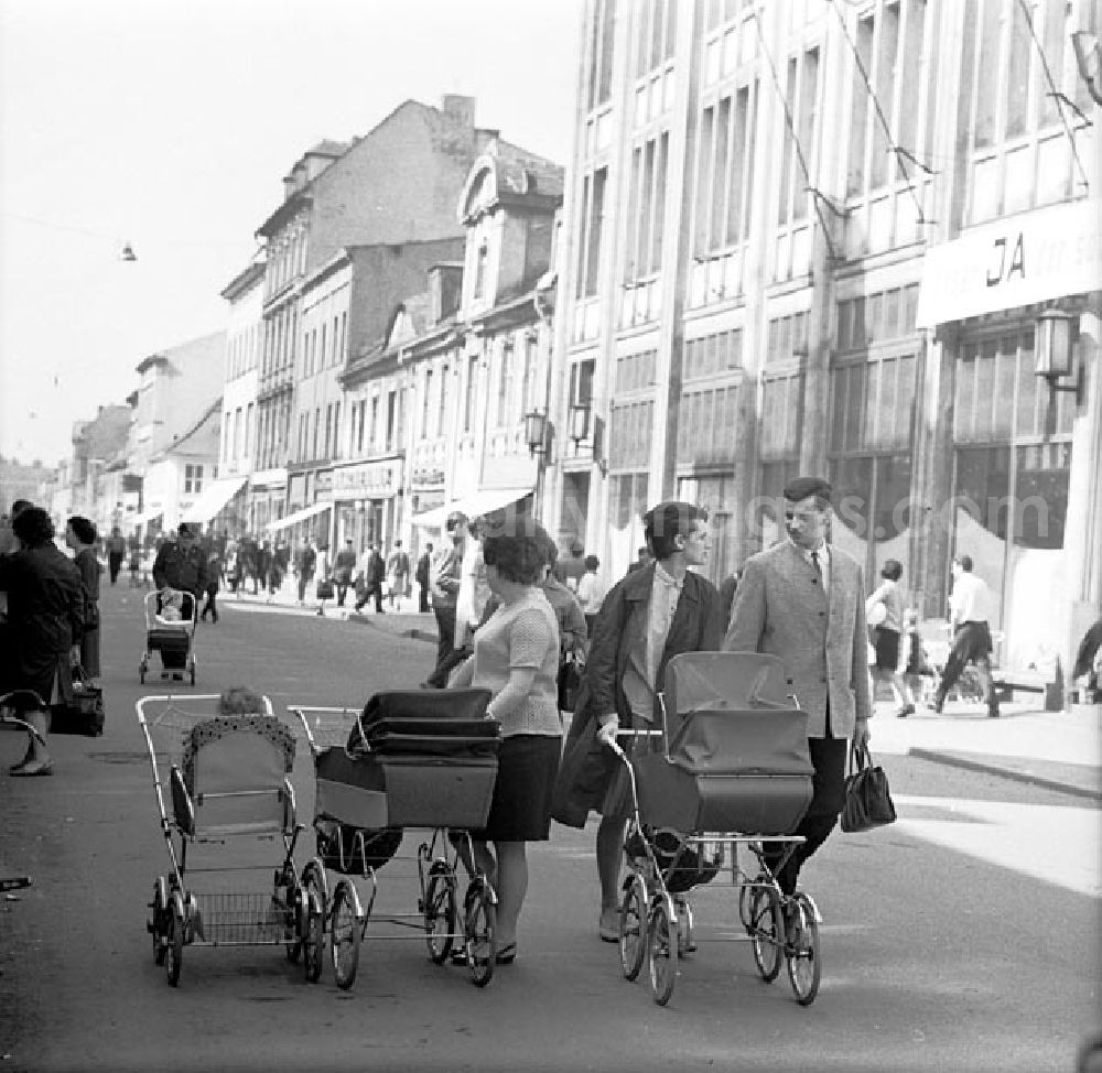 GDR photo archive: Potsdam - 31.