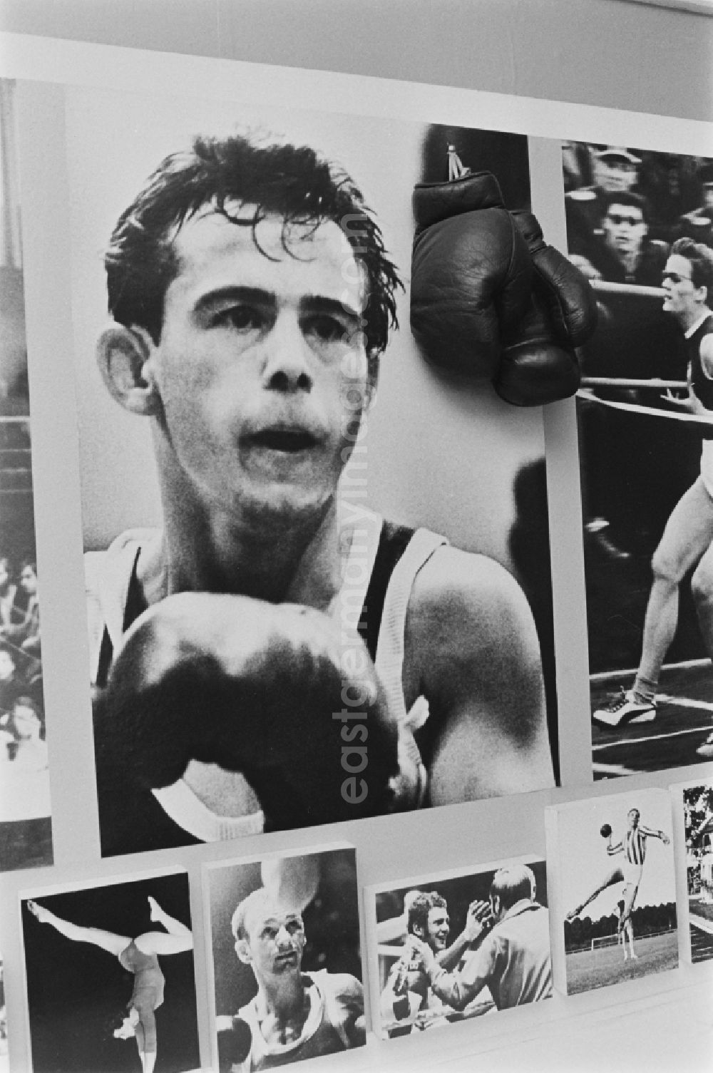 GDR picture archive: Berlin - Exhibits of the museum exhibition Sports History Cabinet in the Friedrich-Ludwig-Jahn-Sportpark on Cantianstrasse in the Prenzlauer Berg district of Berlin East Berlin in the area of the former GDR, German Democratic Republic