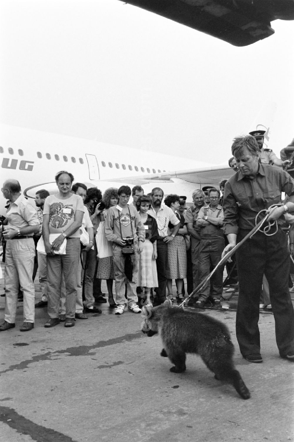 GDR photo archive: Schönefeld - Passenger aircraft Airbus A31