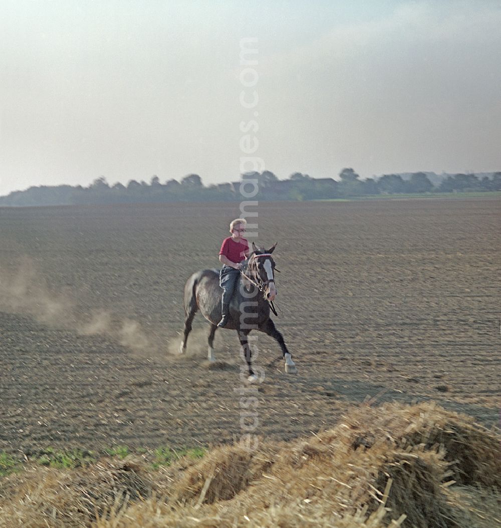 GDR photo archive: Horka - Horse and rider during filming of Portrait of a Center Point on the main street in Horka, Saxony in the territory of the former GDR, German Democratic Republic