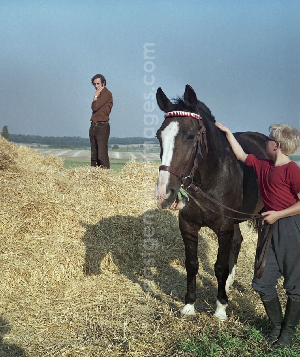 GDR image archive: Horka - Horses and riders during filming of Portrait of a Center on the main street in Horka, Saxony in the area of the former GDR, German Democratic Republic