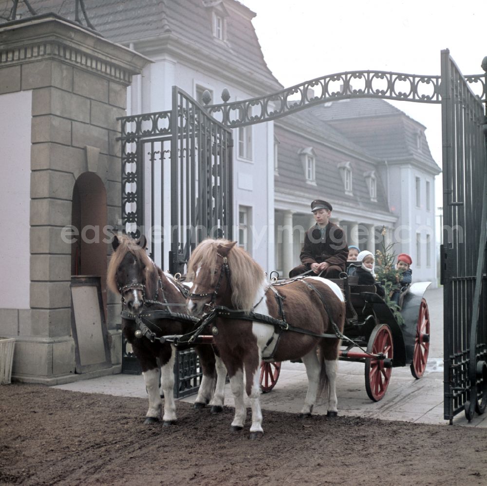 GDR picture archive: Berlin - Horse-drawn carriage with children on a short excursion through the gate of the Berlin Zoo at Friedrichsfelde Palace in East Berlin on the territory of the former GDR, German Democratic Republic